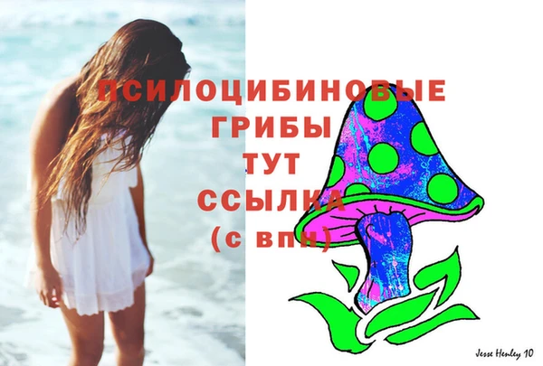 шишки Зерноград